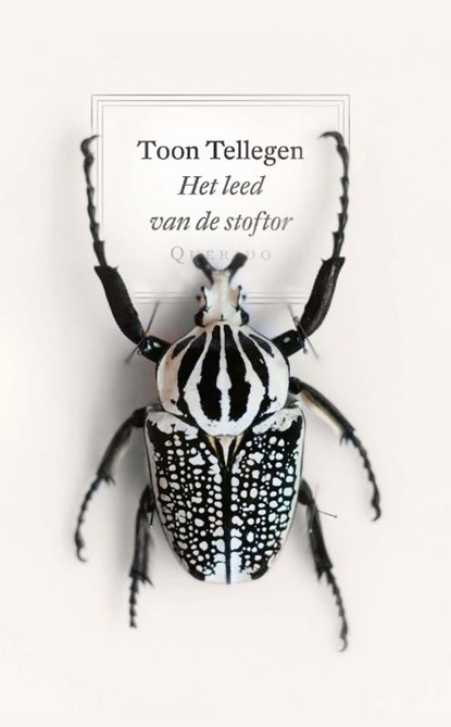 Het leed van de stoftor, Toon Tellegen - Paperback - 9789021419640