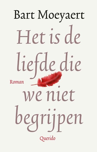 Het is de liefde die we niet begrijpen, Bart Moeyaert - Gebonden - 9789021419947