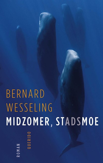 Midzomer, stadsmoe, Bernard Wesseling - Ebook - 9789021421384