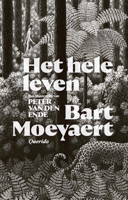Het hele leven, Bart Moeyaert - Ebook - 9789021422206