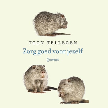 Zorg goed voor jezelf, Toon Tellegen - Luisterboek MP3 - 9789021424323