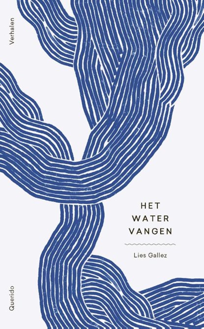 Het water vangen, Lies Gallez - Paperback - 9789021425443
