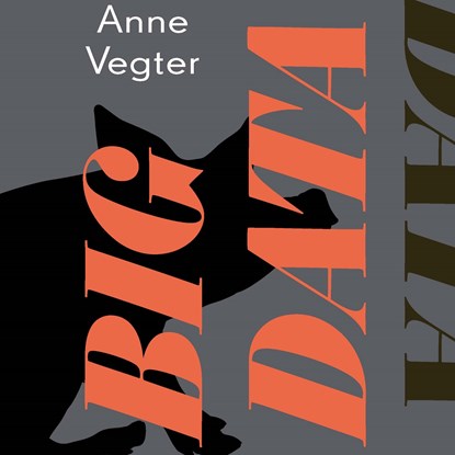 Big data, Anne Vegter - Luisterboek MP3 - 9789021426525