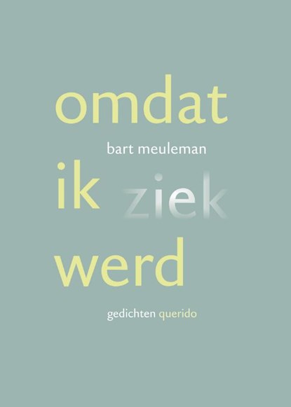 Omdat ik ziek werd, B. Meuleman ; Bart Meuleman - Paperback - 9789021434575