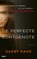 De perfecte echtgenote, Darby Kane - Paperback - 9789021436548