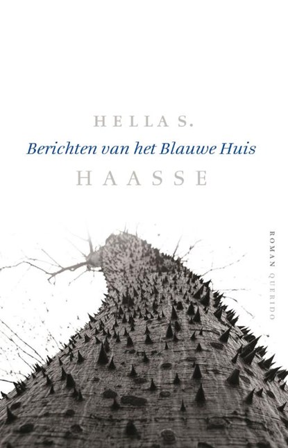 Berichten van het Blauwe Huis, Hella S. Haasse ; Hella Haasse - Gebonden - 9789021438818