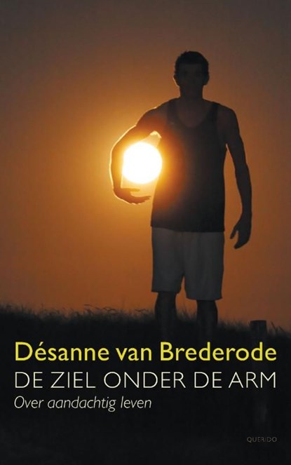 De ziel onder de arm, Désanne van Brederode - Ebook - 9789021443027