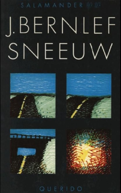 Sneeuw, Bernlef - Ebook - 9789021443577