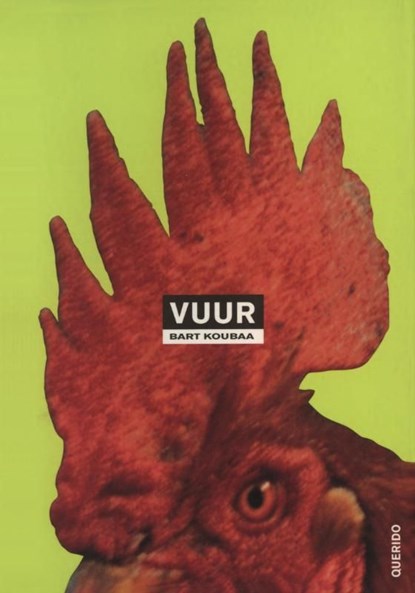 Vuur, Bart Koubaa - Ebook - 9789021445021