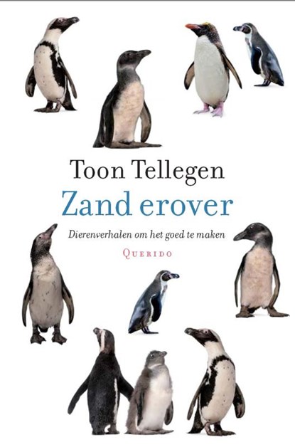 Zand erover, Toon Tellegen - Gebonden - 9789021445984