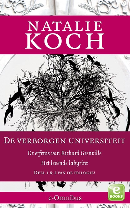 De erfenis van Richard Grenville; Het levende labyrint, Natalie Koch - Ebook - 9789021446448