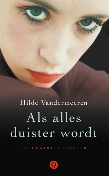 Als alles duister wordt, Hilde Vandermeeren - Ebook - 9789021446820