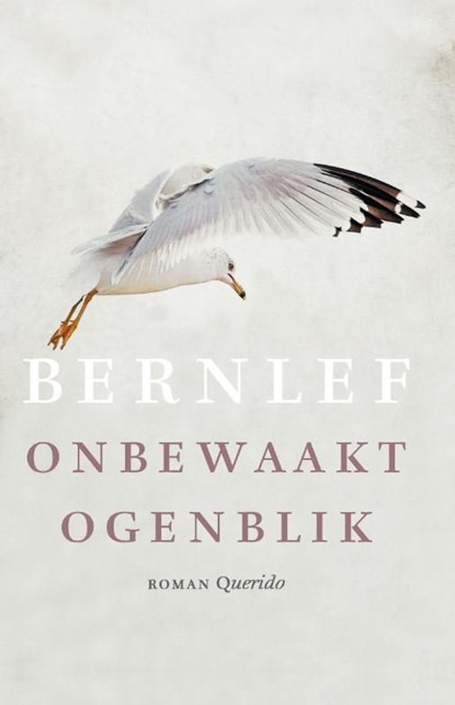 Onbewaakt ogenblik, Bernlef - Ebook - 9789021447124