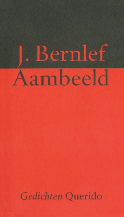 Aambeeld, J. Bernlef - Ebook - 9789021448237
