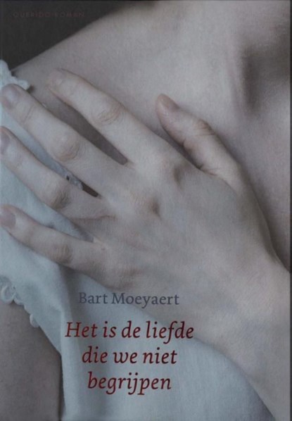 Het is de liefde die we niet begrijpen, Bart Moeyaert - Ebook - 9789021452128