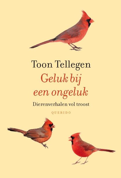 Geluk bij een ongeluk, Toon Tellegen - Gebonden - 9789021455242