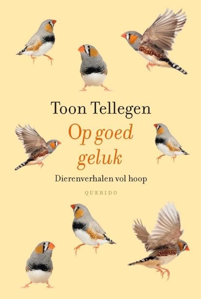 Op goed geluk, Toon Tellegen - Ebook - 9789021455273