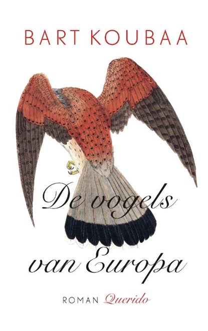 De vogels van Europa, Bart Koubaa - Paperback - 9789021456034