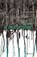De ongelukzoekers, Tom Cooper - Paperback - 9789021458755