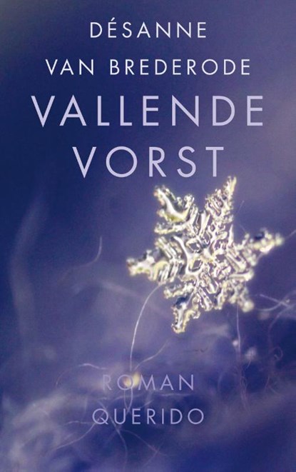 Vallende vorst, Désanne van Brederode - Paperback - 9789021458830