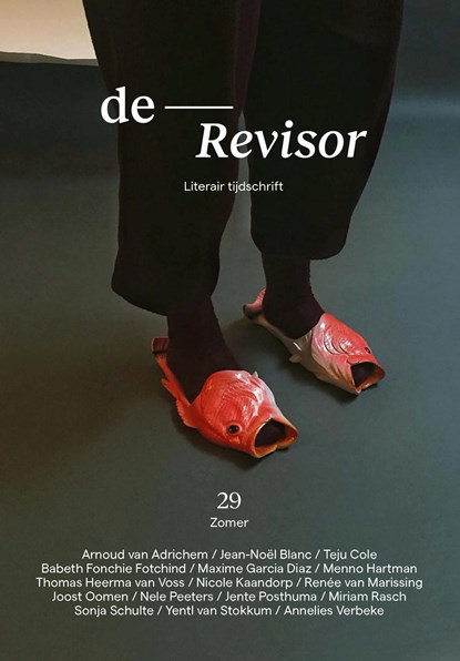 Revisor 29, Diverse auteurs - Paperback - 9789021460185