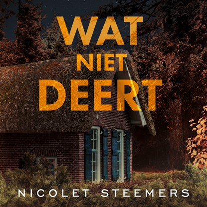 Wat niet deert, Nicolet Steemers - Luisterboek MP3 - 9789021463322