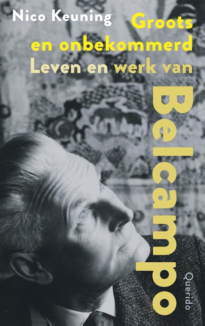 Groots en onbekommerd, Nico Keuning - Ebook - 9789021463452