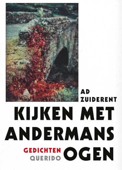 Kijken met andermans ogen, Ad Zuiderent - Paperback - 9789021467856