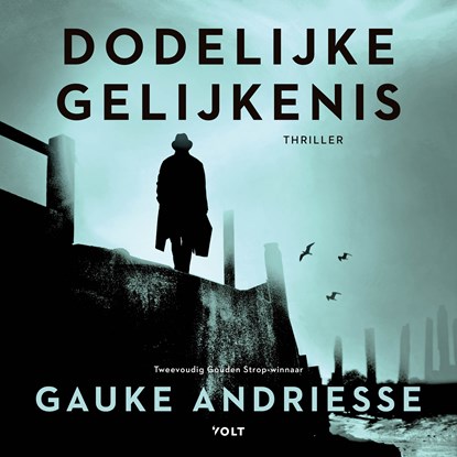 Dodelijke gelijkenis, Gauke Andriesse - Luisterboek MP3 - 9789021470474