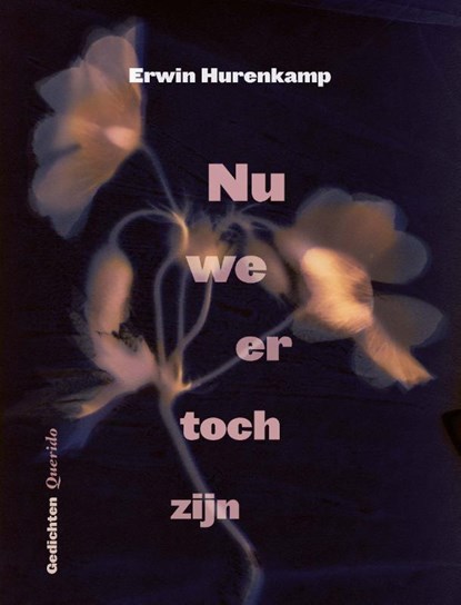 Nu we er toch zijn, Erwin Hurenkamp - Paperback - 9789021477480