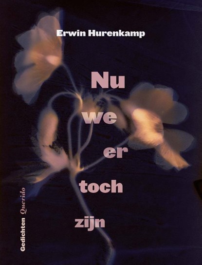 Nu we er toch zijn, Erwin Hurenkamp - Paperback - 9789021477480