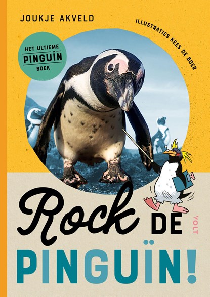 Rock de pinguïn!, Joukje Akveld ; Kees de Boer - Gebonden - 9789021498096