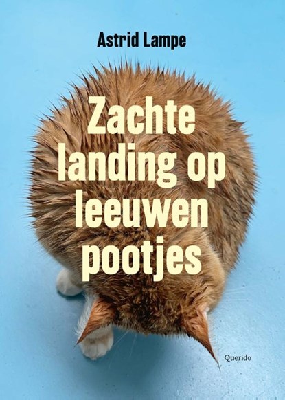 Zachte landing op leeuwenpootjes, Astrid Lampe - Paperback - 9789021498560