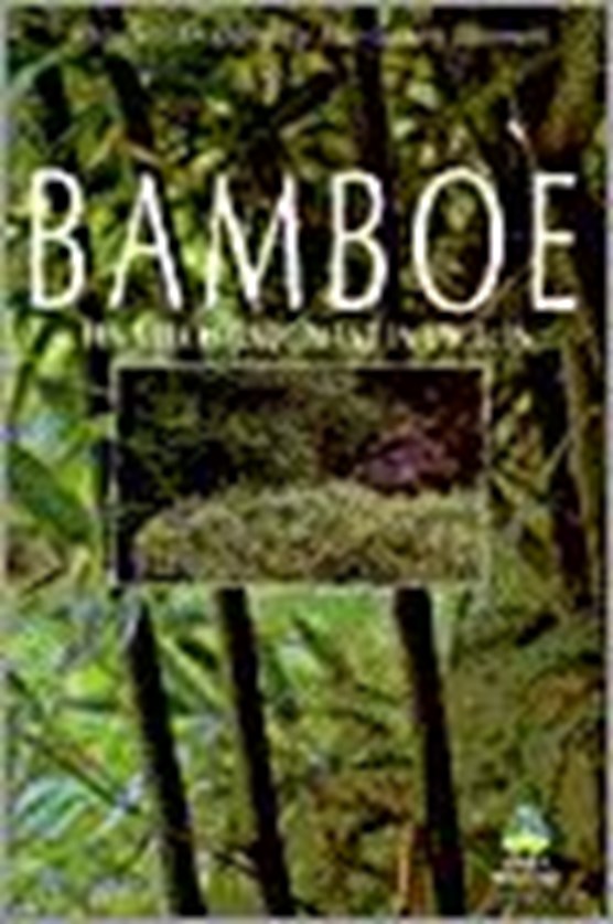 Bamboe