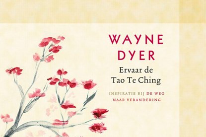 Ervaar de Tao Te Ching, Wayne W. Dyer ; Wayne Dyer - Gebonden - 9789021550503