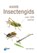 Insectengids, Heiko Bellmann - Paperback - 9789021569031