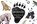 Dier & Sporen, niet bekend - Losbladig - 9789021574356