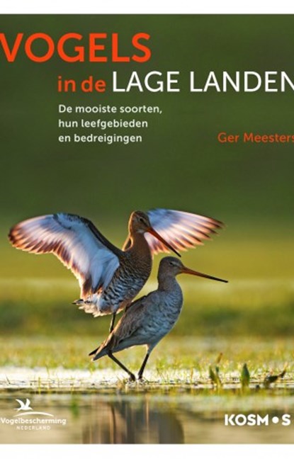 Vogels in de lage landen, Ger Meesters - Gebonden - 9789021575056