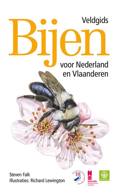 Bijen - Veldgids voor Nederland en Vlaanderen, Richard Lewington ; Steven Falk - Paperback - 9789021575513