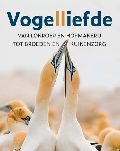 Vogelliefde, Mike Webster ; Wenfei Tong - Paperback - 9789021575919