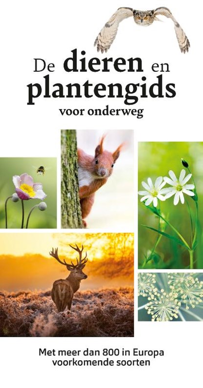 De dieren- en plantengids voor onderweg, Wilhelm Eisenreich - Paperback - 9789021578453