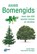 ANWB Bomengids, Joachim Mayer ; Heinz-Werner Schwegler - Paperback - 9789021582580