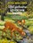Het geheime leven van dieren, Peter Wohlleben - Gebonden - 9789021680033