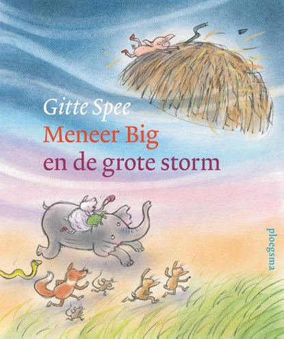 Meneer Big en de grote storm, Gitte Spee - Gebonden - 9789021683553