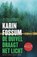 De duivel draagt het licht, FOSSUM, K. - Paperback - 9789022320686
