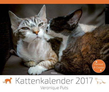 Kattenkalender 2017, Veronique Puts - Paperback - 9789022332931