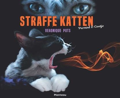 Straffe katten, Veronique Puts - Paperback - 9789022333075