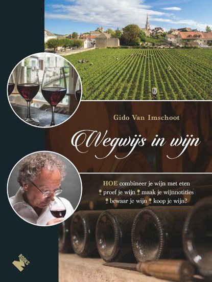 Wegwijs in wijn, Gido Van Imschoot - Paperback - 9789022334089