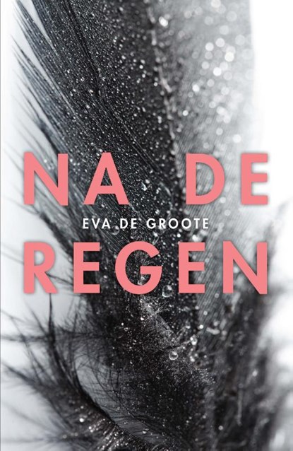 Na de regen, Eva De Groote - Paperback - 9789022334911