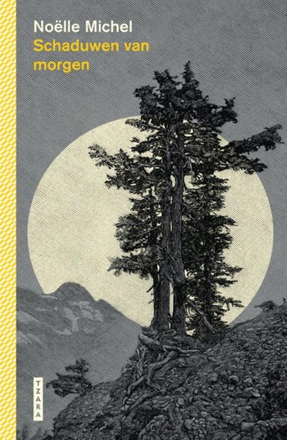 Schaduwen van morgen, Noëlle Michel - Gebonden - 9789022340905